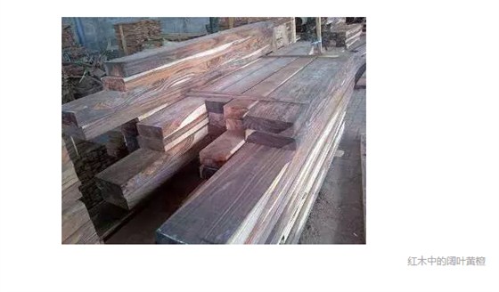 紅木中的闊葉黃檀