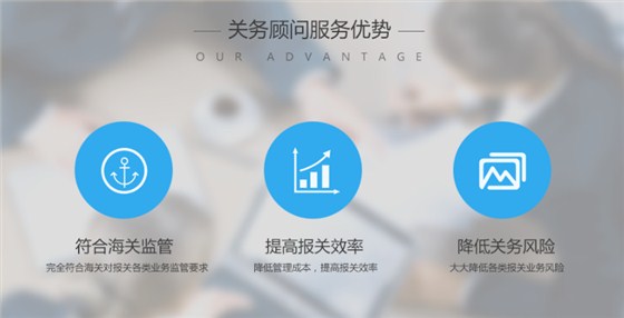 云關(guān)通關(guān)務(wù)顧問服務(wù)