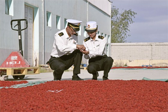 西寧海關(guān)關(guān)員深入企業(yè)生產(chǎn)車間開展出口有機(jī)枸杞檢驗(yàn)