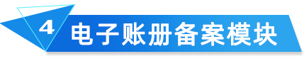 電子賬冊備案模塊