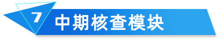 中期核查模塊