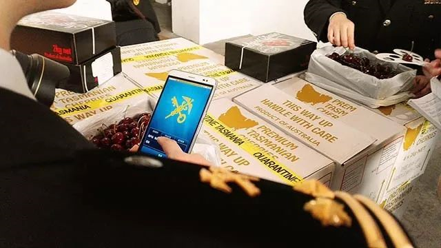 云關(guān)通平臺(tái)概括七大關(guān)鍵詞帶你看懂海關(guān)全面深化改革成效（簡減、智能、創(chuàng)新、公平）