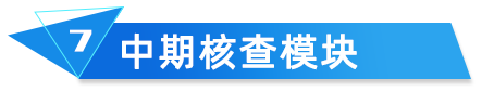 中期核查模塊