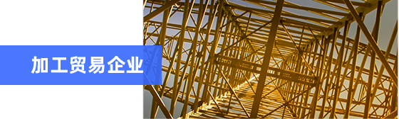  財(cái)稅開票系統(tǒng)(全電票)