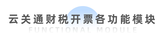  財(cái)稅開票系統(tǒng)(全電票)